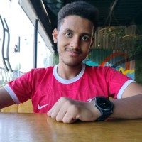 Muhammed Amr Abd El-Aleem