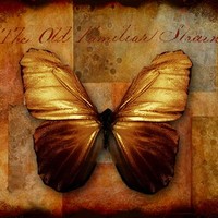 Maria Liz Fleitas gonzalez