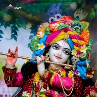Umesh Kumar Gaur