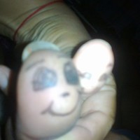 Cristy Rodriguez Prieto