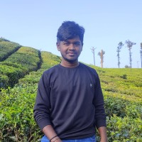 Prasad D