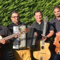 Gipsy Muziek Gipsy Muziek