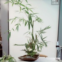 林新华