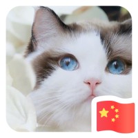 时丹丹