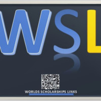 Wsl Team