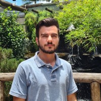 Matheus Giorgios Musadis