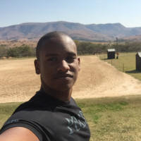 Nelson Honwana