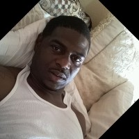 Felt I Hollis