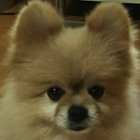 권혜영