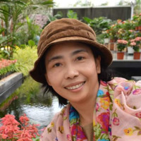 Sutatip Kobnitikulwong