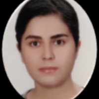 Fatemeh Rostami