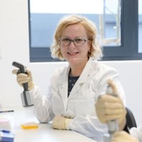Maja Kosa Prtenjaca