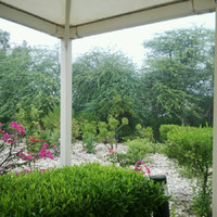 Rawa Hamed