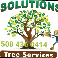 Solutions Tree Services