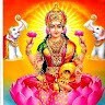 Nagendra Babu