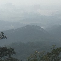 黄春勤
