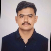 VIGNESH L