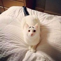 刘中梅