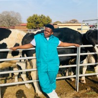 Karabo Ncube