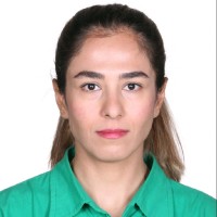 Negar Negahdar