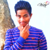 Vikram Style