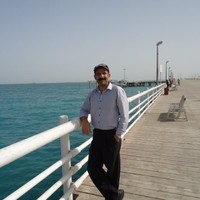 Mostafa Shadloo