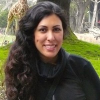 Sara Amini