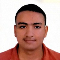 Mostafa Shahat