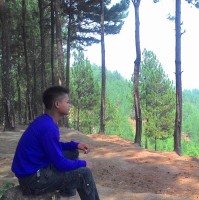 Widodo Arief
