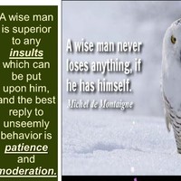 Bella Vista Development Co. Ltd.