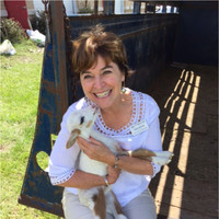 Toni Enloe