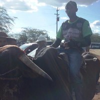 Edvandemelosilvestre Silvestre