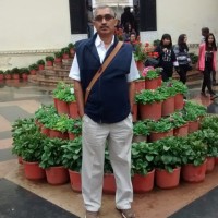 Vijendra Pratap Singh