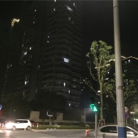 曾雄伟