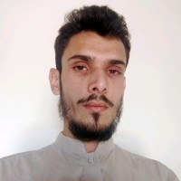 hamza ferozi