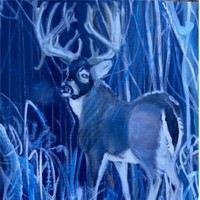 Bonita(Bonnie) Kostrzak