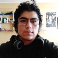 Javier Brito Huenchún