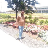 Dawit Keba