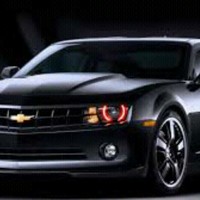 Georges Noselli dos Santos