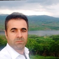 Soran Rasouli