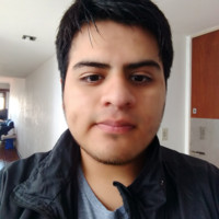 Misael Flores
