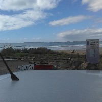 Te Aroha Murray