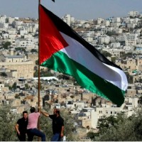 Cioclu Dumitru-Mihai