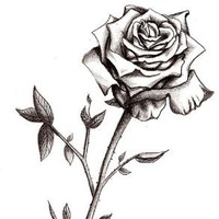 Hadia Raad