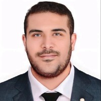 Mohamed khafagi  (PMP)