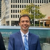 Luiz Araujo Jr., Pmp, Phd