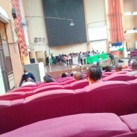 Adeola A Adedeji