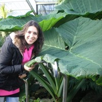 María Dolores Maleno