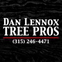 Dan Lennox Tree Service LLC