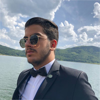 Sina Şahan